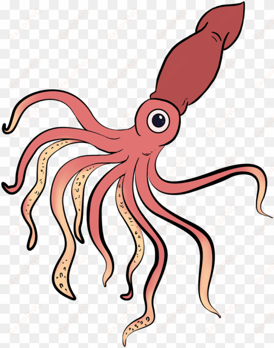 easy drawing guides on twitter - easy squid drawing