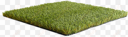 eclipse - namgrass - artificial grass - artificial grass png
