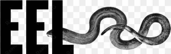 eel logo large