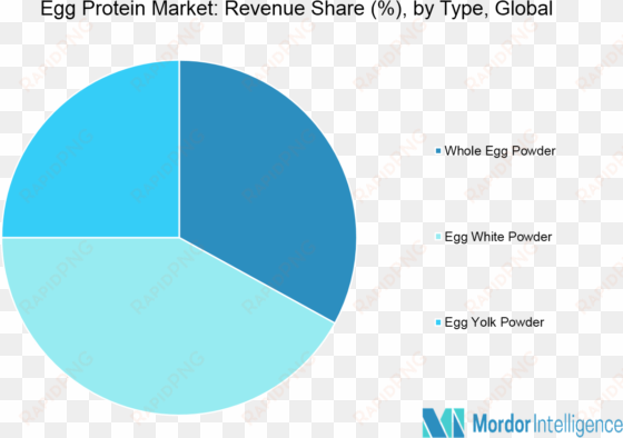 egg protein market segmentation - monoclonal antibody market region