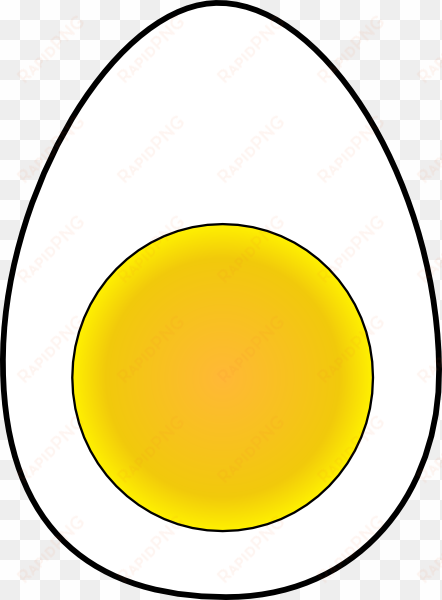 egg, yolk, albumen, white of egg, white-egg, eggwhite, - half boiled egg vector