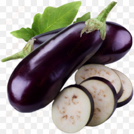 eggplant png clipart - baingan meaning in english