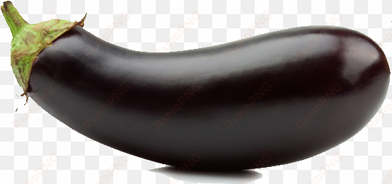 eggplant png photos - eggplant transparent png