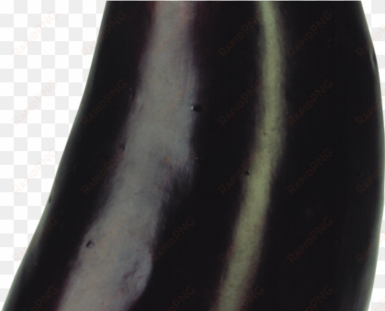 eggplant png transparent images - eggplant