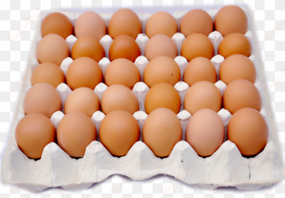 eggs carton png - crate of eggs png