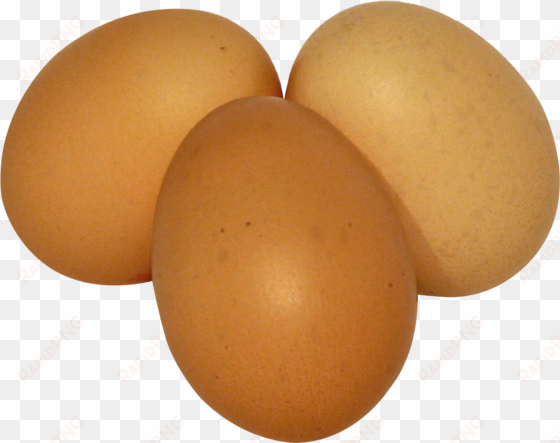 eggs .png
