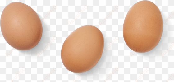 eggs png free download - 3 eggs transparent