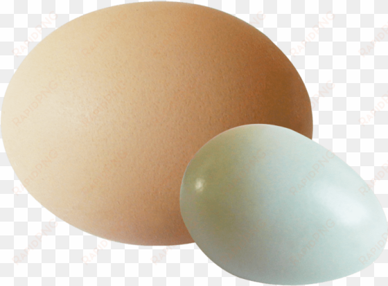 eggs png transparent image - egg white