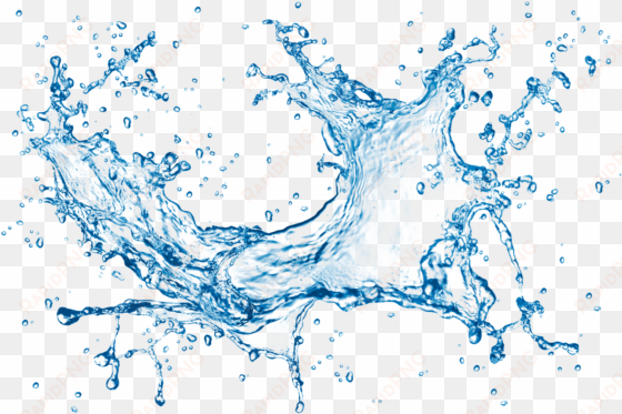 el ciclo del agua - jiji studio iphone 6 plus 5.5 inches scratch proof