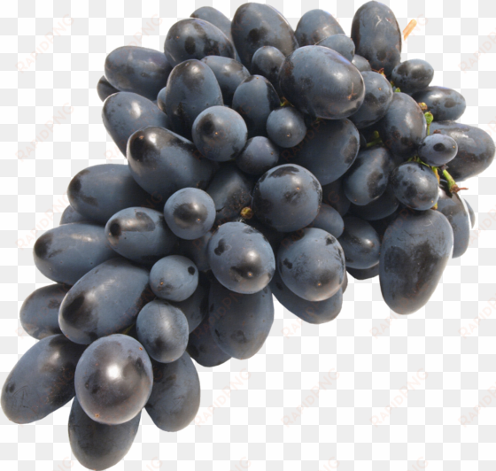 el resto de nutrientes que aporta la uva negra también - Виноград png Без Фона