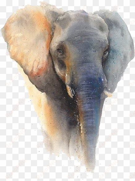 elephant sticker - framed poster prints - elephant by eric sweet