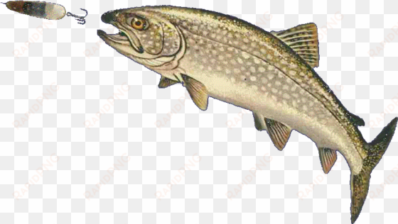 elmer hinckley fishing tackle - trout jumping png