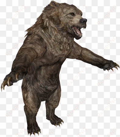 en creature bear - bear