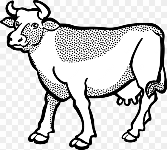 english longhorn texas longhorn line art hereford cattle - cow lineart