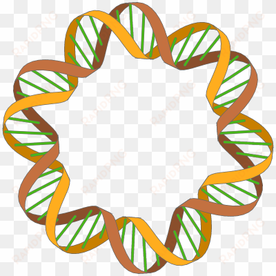 enter image description here - dna double helix circle