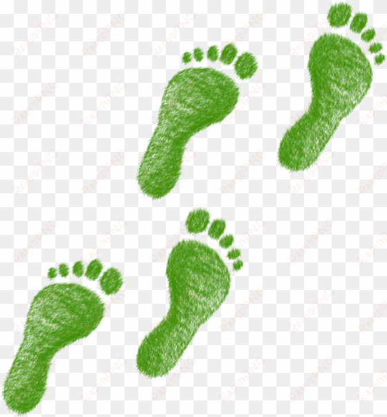 environmental footprint - ecological footprint