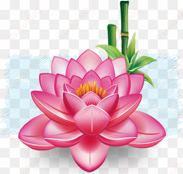 es símbolo de paz y pureza en diferentes religiones - beautiful lotus flower shower curtain