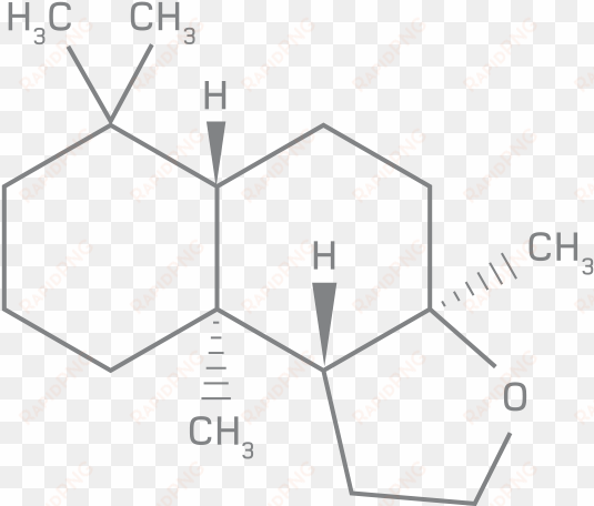 escentric molecules 01 formula - eau de toilette