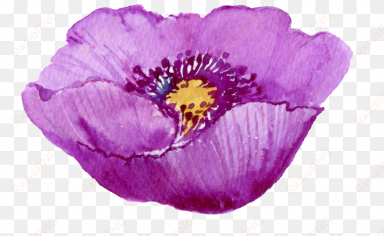 este gráficos es pintado a mano de la flor morada png - flower