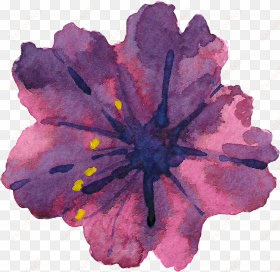 este gráficos es pintado a mano de purple hibiscus - portable network graphics