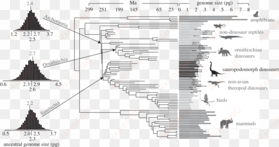 estimated haploid genome size for sauropodomorph dinosaurs - error bar