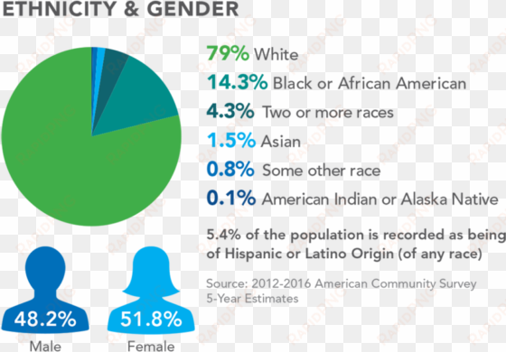 ethnicity and gender - portable network graphics