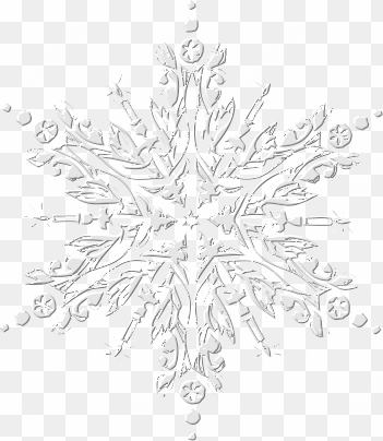 etoile-epice24 - copos de nieve frozen vector png