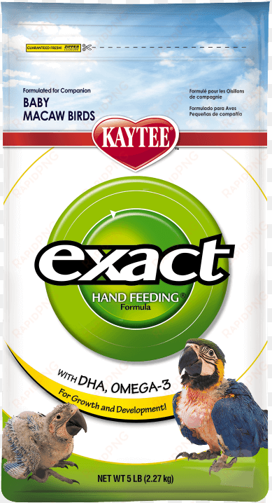 exact hand feeding for baby macaws - kaytee baby bird formula