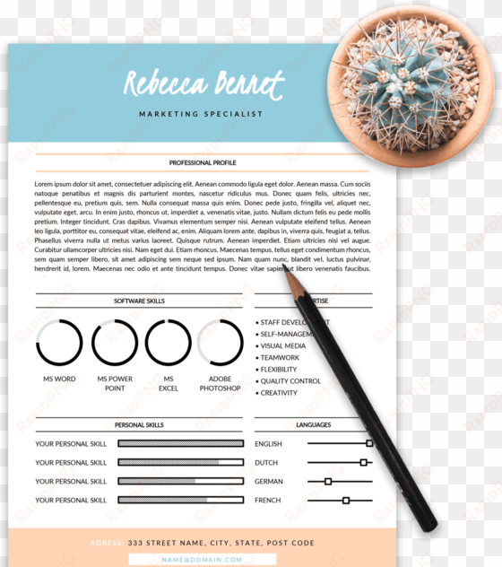 example of a resume template with circles of competences - template