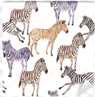 Exotic Zebra Wild Animal Pattern In A Watercolor Style - Watercolor Painting transparent png image