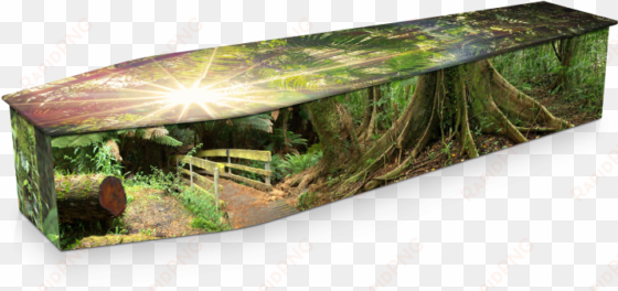 expression cofins - rainforest