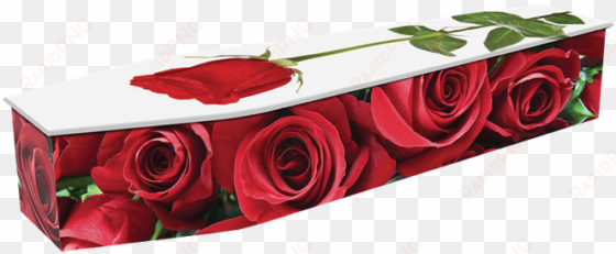 expression red roses - rose coffin