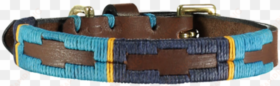 extra fino eduardo polo dog collar - dog collar