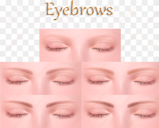eyebrow png download - eye shadow