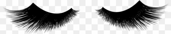 eyelash png graphic stock - eyelashes transparent png