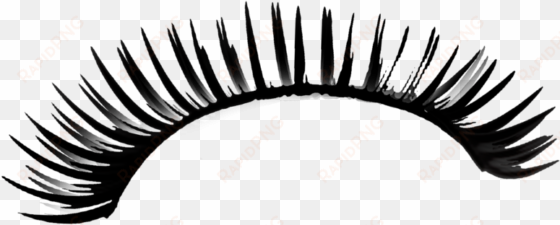 eyelashes drawing png - eyelashes png