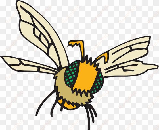 eyes, cartoon, bee, flying, insect, compound, fuzzy - flying insect png cartoon