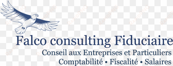 falco consulting s - cool sayings and quotes