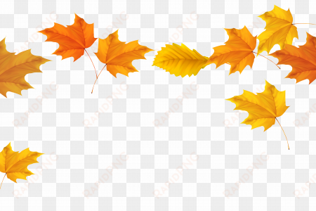 Fall Border Clipart Fall Leaves Border Clipartfall - Clip Art Free Autumn Leaves transparent png image