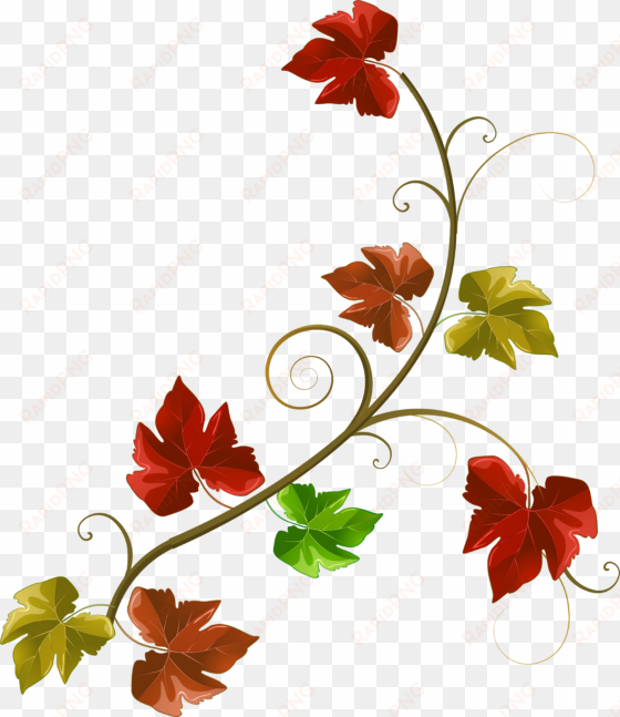 fall leaves border png