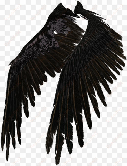 fallen angel wing png - dark angel wings transparent