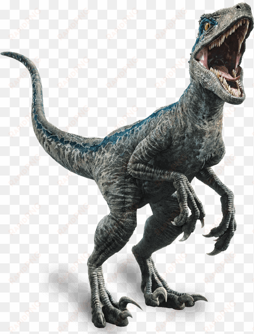 fallen kingdom blue the velociraptor by sonichedgehog2-dc80trd - blue jurassic world png