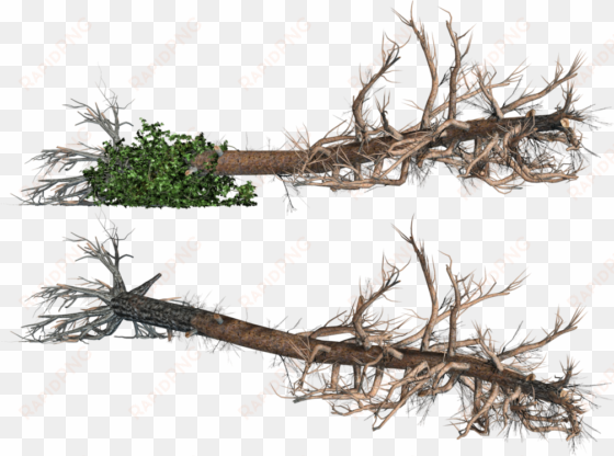 fallen trees 02 png stock by roy3d on deviantart stock - fallen tree clipart png