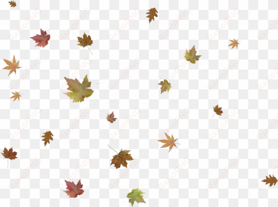 falling autumn leaves png pic - crossroads church