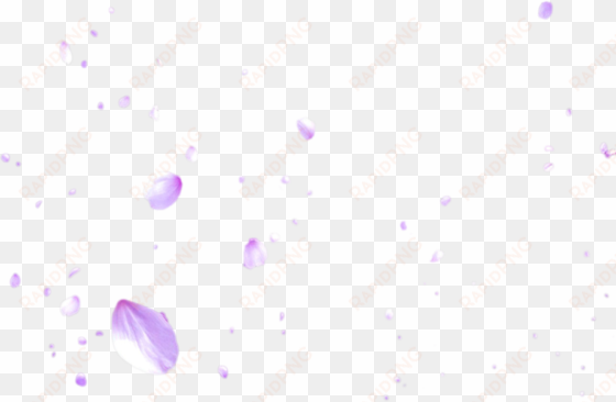 falling cherry blossom png - lilac