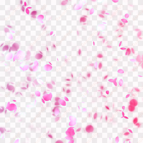 Falling Petals Transpa Background Png Mart - Leinwandbild - Blütenblätter Bw - In 150 X 100 Cm, transparent png image
