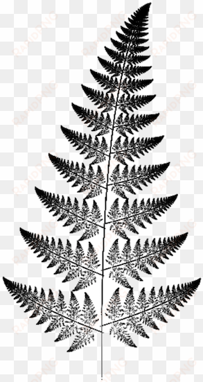 fan-art - fractal fern