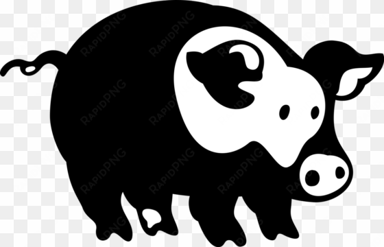 farm livestock swine pig - domestic pig