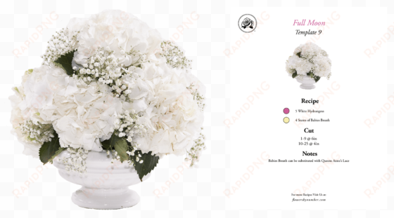 Fbn Arrangement And Recipe 0026 White Full Moon - Common Peony transparent png image
