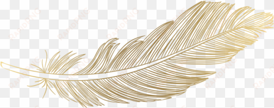 feather png download image - password logbook